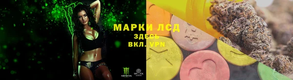 СК Абинск