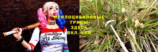 СК Абинск