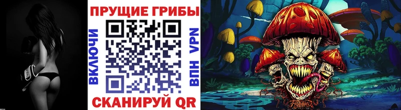 сколько стоит  Аксай  kraken ONION  Галлюциногенные грибы MAGIC MUSHROOMS 