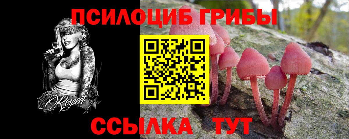 Псилоцибиновые грибы Psilocybine cubensis  Вход с VPN  Аксай 